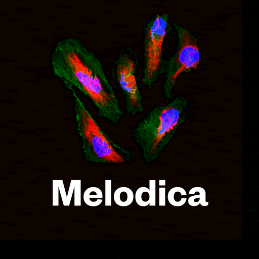 Melodica 25 December 2023