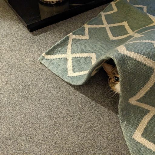 Death Drums w. Matty - January 2023