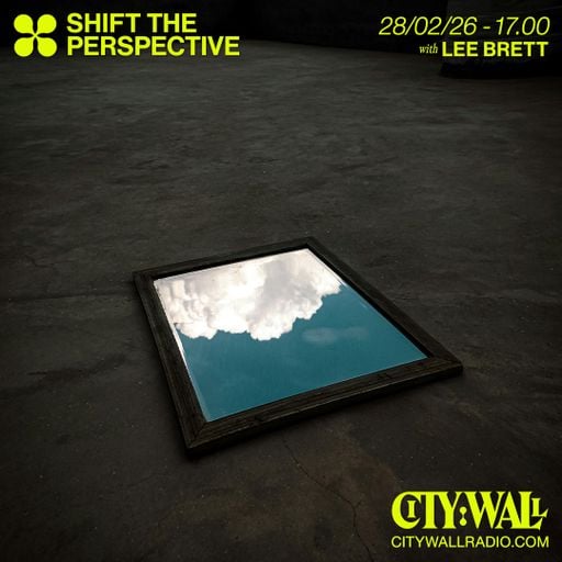 Shift The Perspective w/ Lee Brett - February 2024