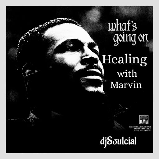 MARVIN GAYE HEALING