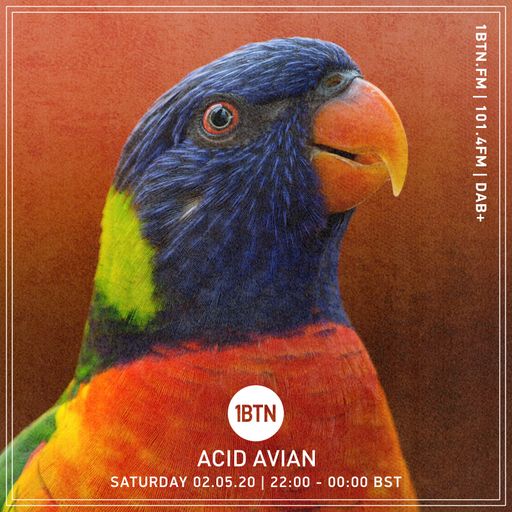 Acid Avian - 02.05.2020