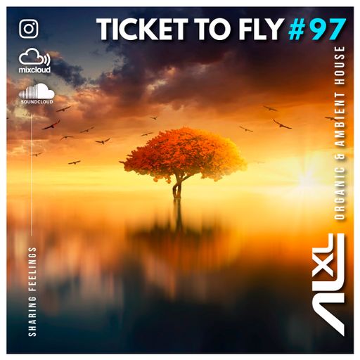 TICKET TO FLY #97 MAY 2024 (Organic House)