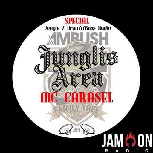 JunglisArea 115 - 20181229 - End of Year Wrapped Up & Interview Special w/ MC Carasel (AFT REC)