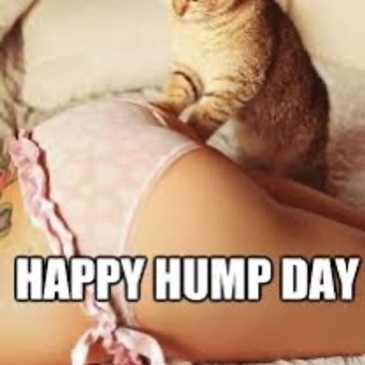 Wiggle Wednesday 11.2