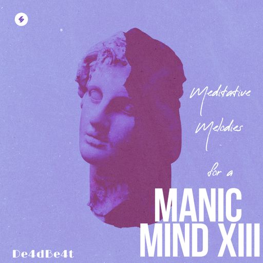 Manic Mind XIII (Meditative Melodies for a)