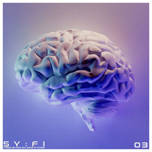 SY : FI 03