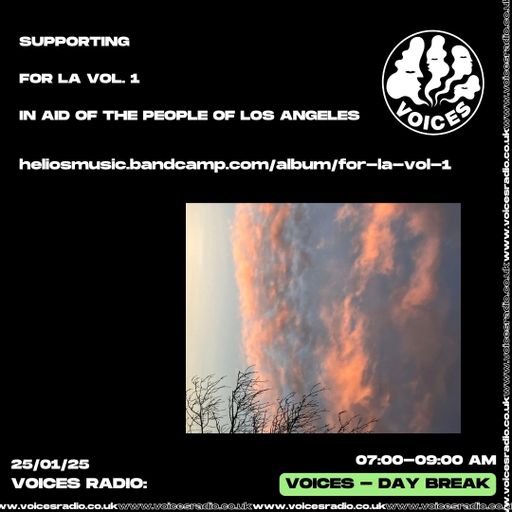 Be More Well: FOR LA Vol.1 Compilation - 25/01/25 - [Voices Radio]