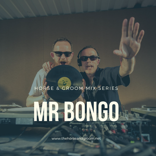 H&G 07: Mr Bongo
