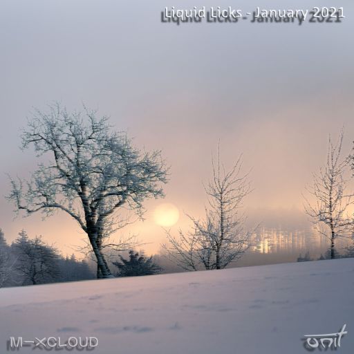 Liquid Licks - January 2022