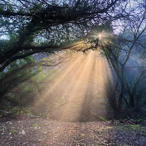 Hoxton Live X Yogavibes