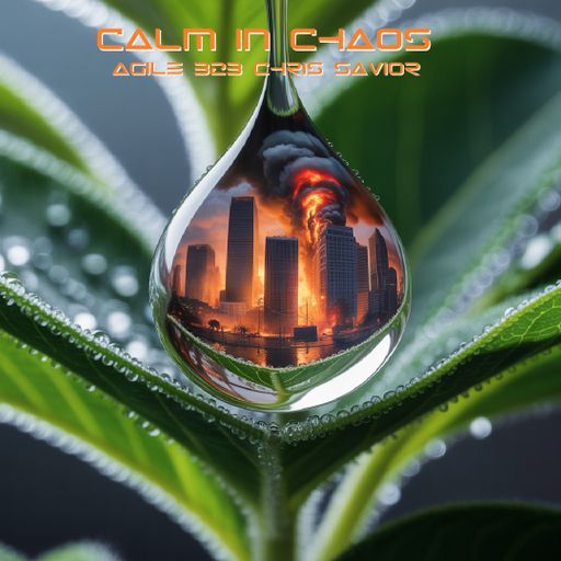 Calm In Chaos - Agile B2B Chris Savior 122425