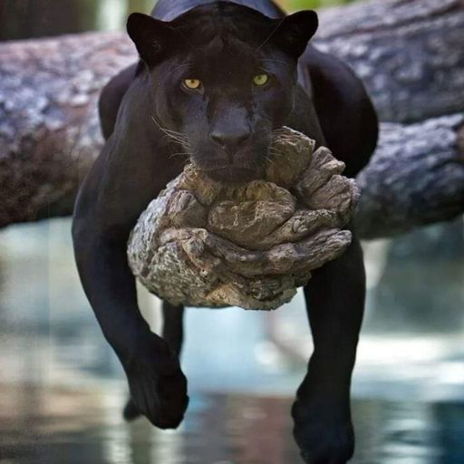 Steve Lewis is Still here 13th Jan 2025