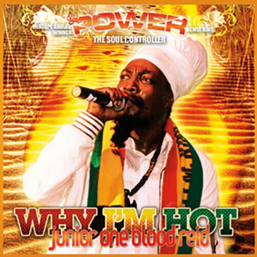 Junior Reid - Why I'm Hot (Dancehall & Reggae Mix 2007 By DJ Power)