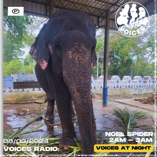 NOEL SPIDER - 08.03.24 - Voices Radio