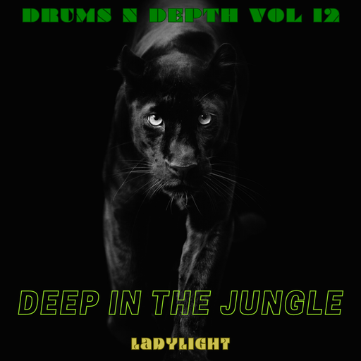 Drums n Depth Vol 12 - Deep In The Jungle