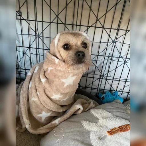 DJ'YE【Anson Private Mix V3】《La Banda Vs Stay Fly X 容祖兒 - 就讓這大雨全都落下 X 於冬然 - 其實都沒有》Mixtape 2x23