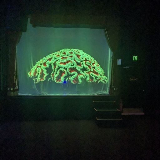 Breaking People w/ Noa Kurzweil - 20th April 2026