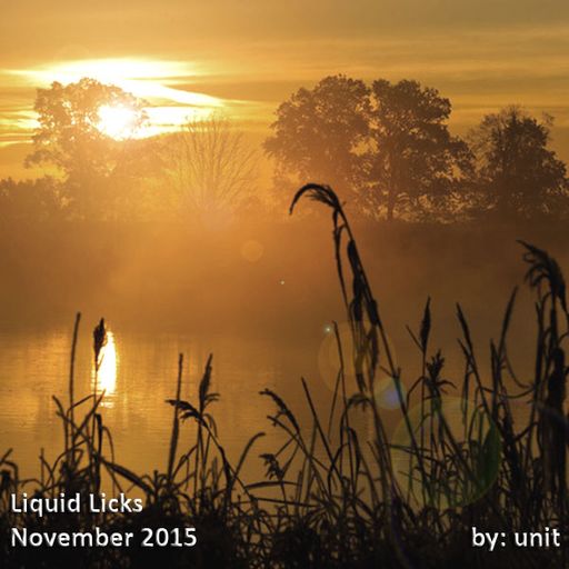 Liquid Licks November 2015