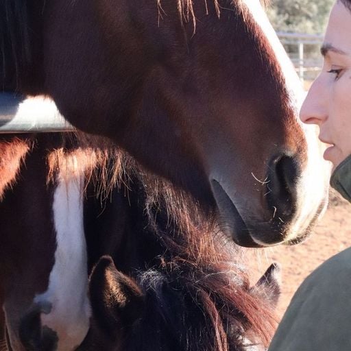 Twisted Dream Diary w/ OKO DJ  - 23rd April 2026