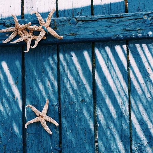 Acid Memories w/ Astral Vibes - 11th February 2026