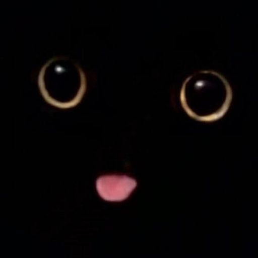 dark as fark. the musical. beats by Boto. rainbow dragon moon zoo epic adventure ride. turn it UP!!