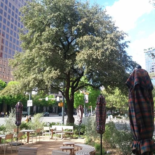 June Walk in Austin