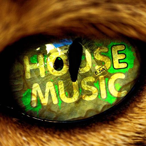 Redz 08-04-2025 - Live ~ Music In Motion #45 ~ Classic's & House Circa.2025 ~