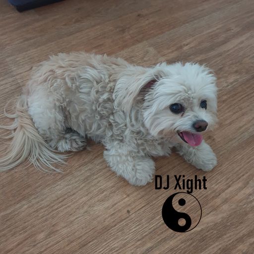 Dj Xight Live!       my old techno
