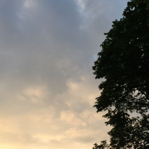 Be More Well - 27/05/23