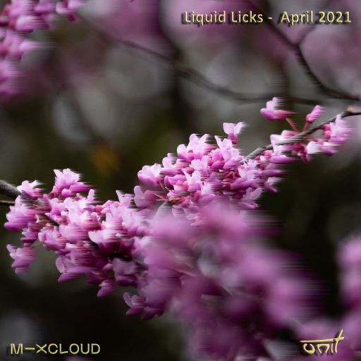 Liquid Licks April 2021