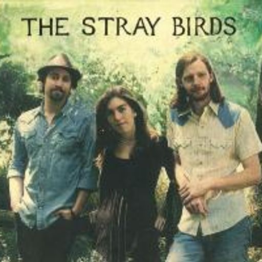 The Folk and Acoustic Music Show 28