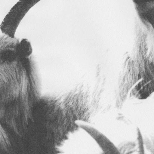 Cashmere Guest Mixes : All Around the Globe w/ Rem Gow & Jorn K 12.03.182018