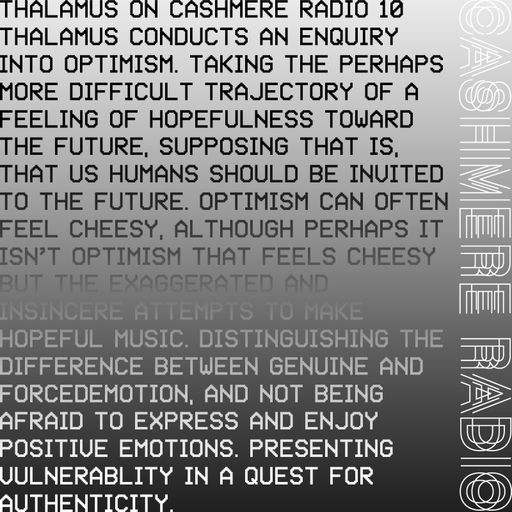 THALAMUS #10 an Enquiry into Optimism