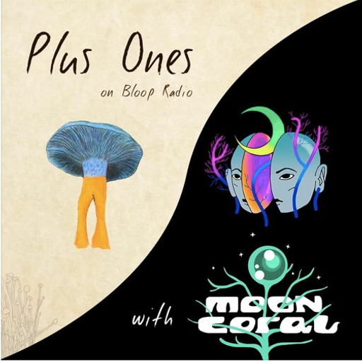 Plus Ones Specials w/ Moon Coral & CJ - 16.01.21