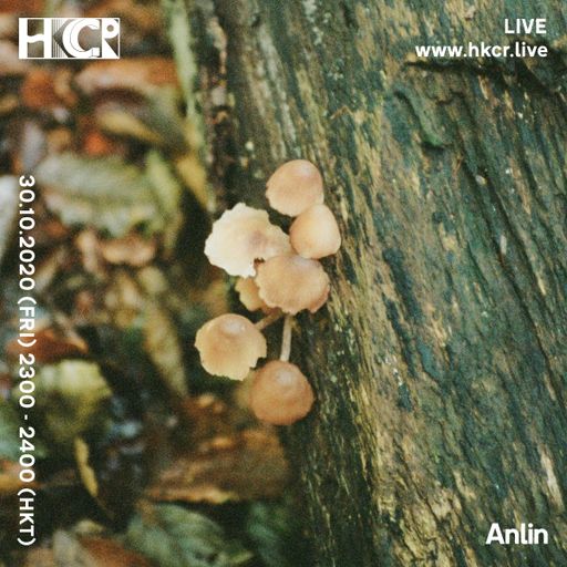 Anlin - 30/10/2020