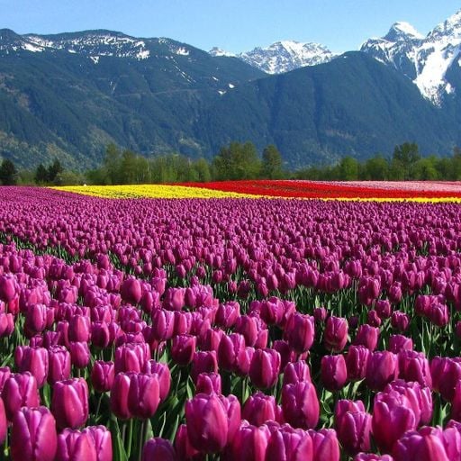 Quietmusic - Complete Three-Hour Program - March 22