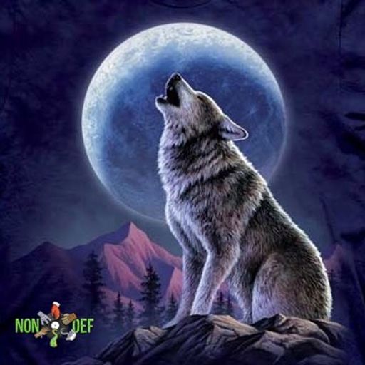 NonDef: Wolf Moon soundtrack