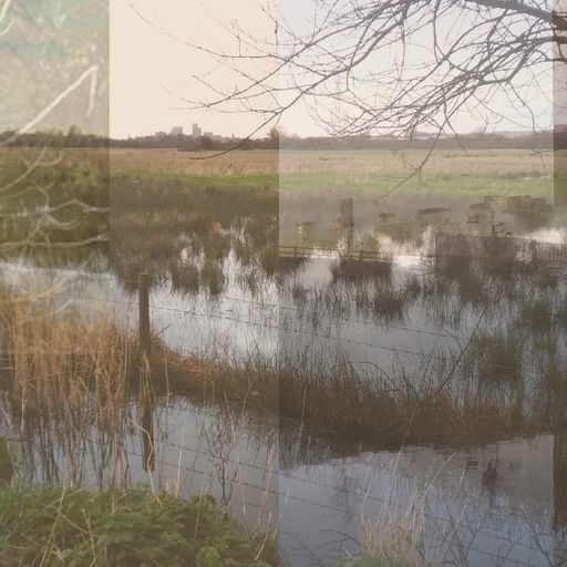 Littoral Transmissions #53 - A Walk on the Marshes ft. SEA MANTIS - 28th February 2024