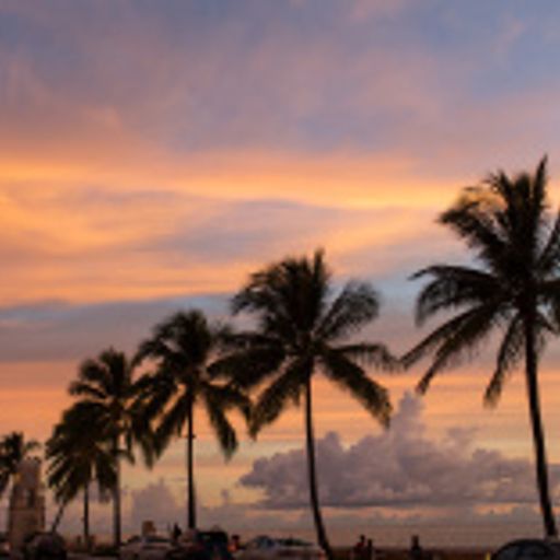 Sunny Day in Palm Beach (NuJazzLounge)