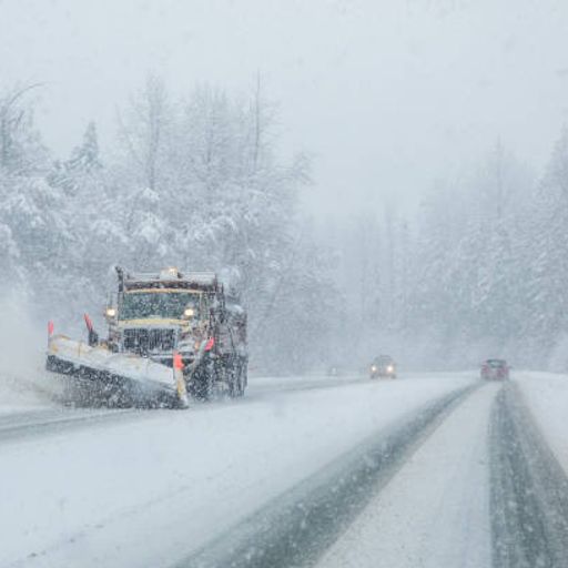 Saturday night Grown and sexy Sunday Jan 25th snow storm 2026