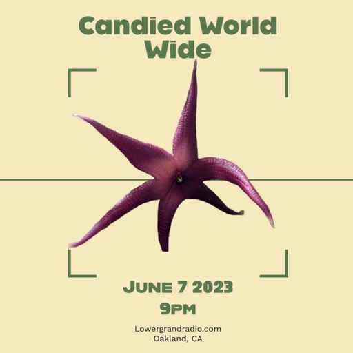 Candied World Wide (06.07.2023)