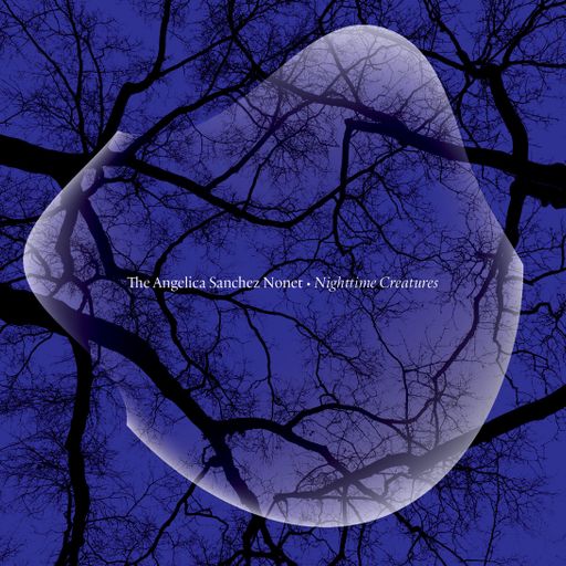 North Star Sounds 3.19.24