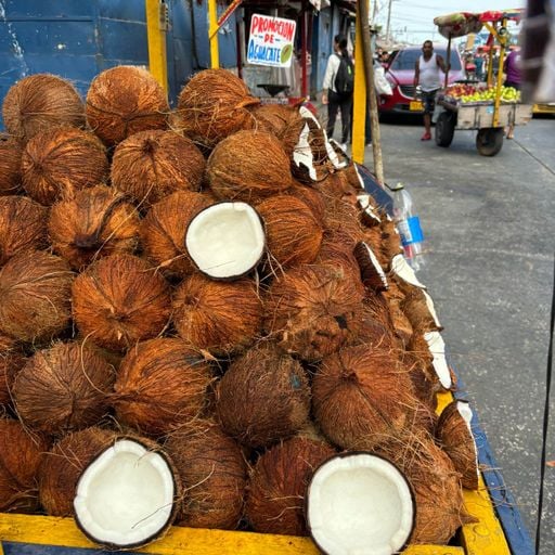 Coco Maria // 19-02-26