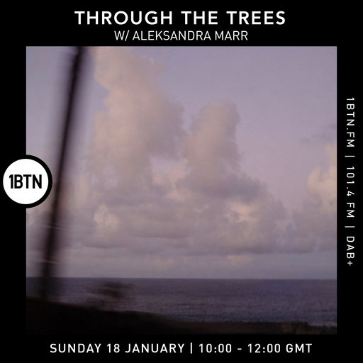 Through The Tree's w/ Aleksandra Marr - 18.01.26