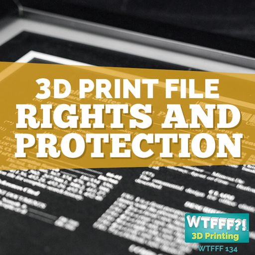 WTFFF 134: 3D Print File Rights and Protection