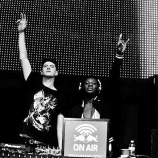 Skream & Benga - Live at Melt Festival [Germany] - 2008