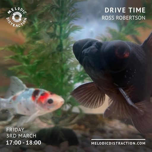 Drive Time with Ross Robertson (March '23)