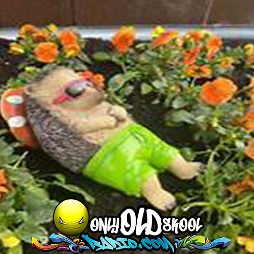 DJ Hedgehog - Holibob Prick - Only Drum N Bass - 8th January 2025 - OnlyOldSkoolRadio.com