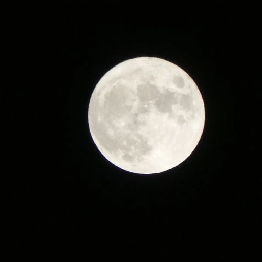 Tokyo Moon: Toshio Matsuura // 23-10-22