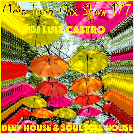 MHMS-177-DJ Luiz Castro-Deep House and Soul Full House